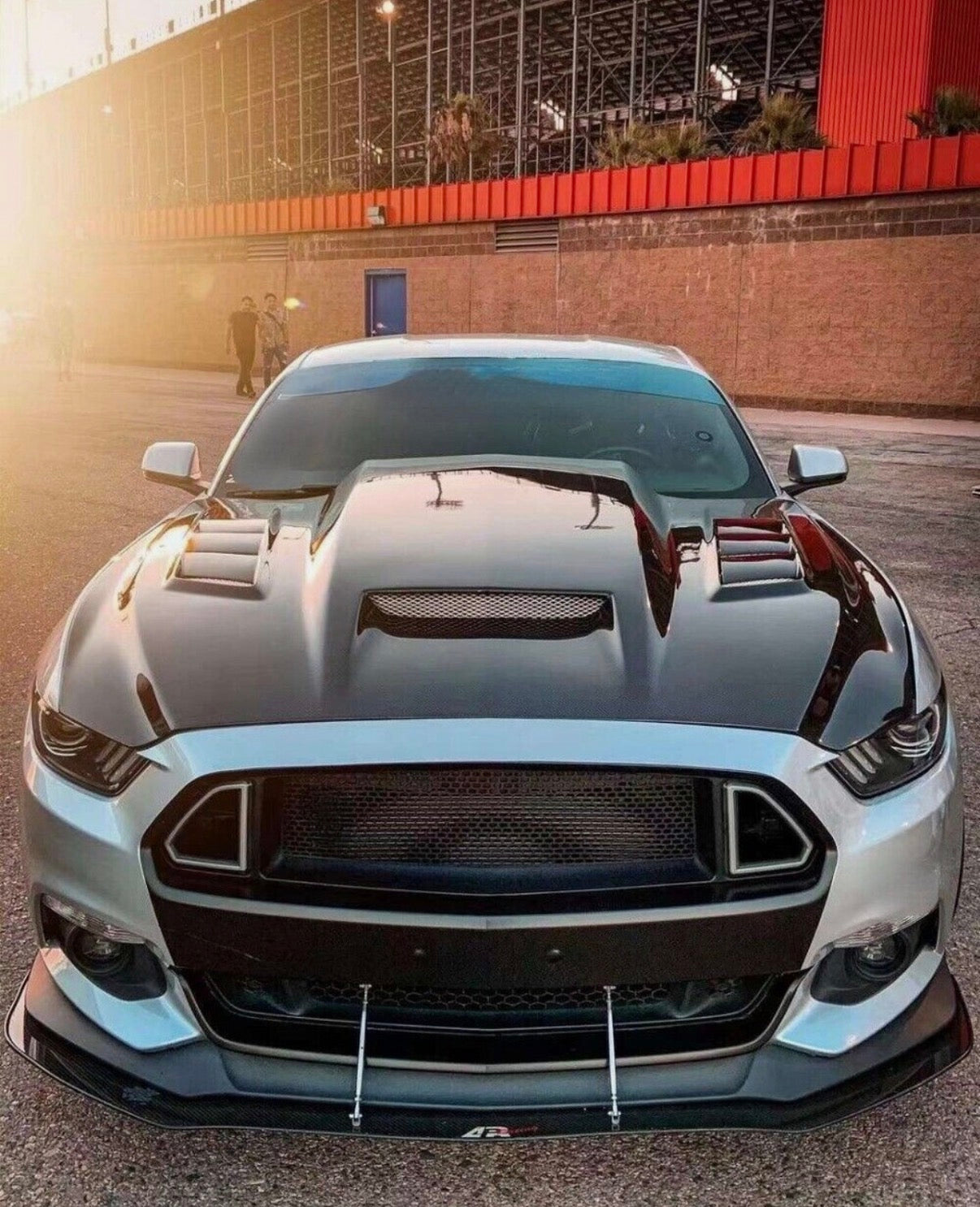 2015 Ford Mustang Gt500 Carbon Fiber hood